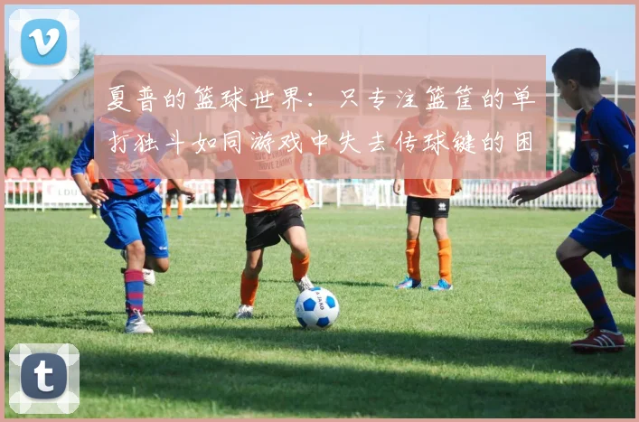 夏普的篮球世界：只专注篮筐的单打独斗如同游戏中失去传球键的困境