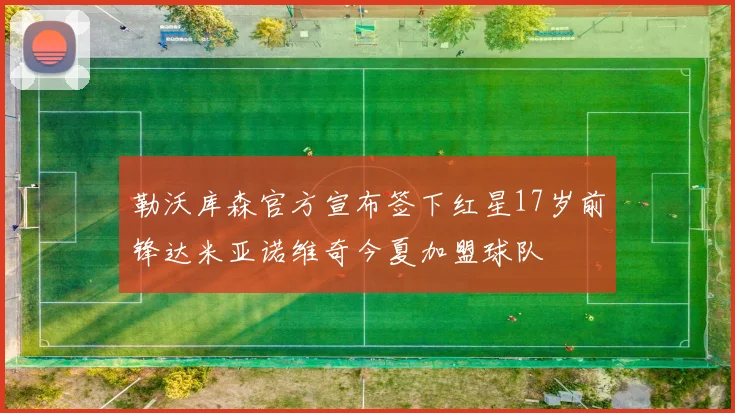 勒沃库森官方宣布签下红星17岁前锋达米亚诺维奇今夏加盟球队
