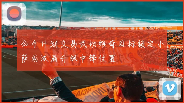 公牛计划交易武切维奇目标锁定小萨或浓眉升级中锋位置